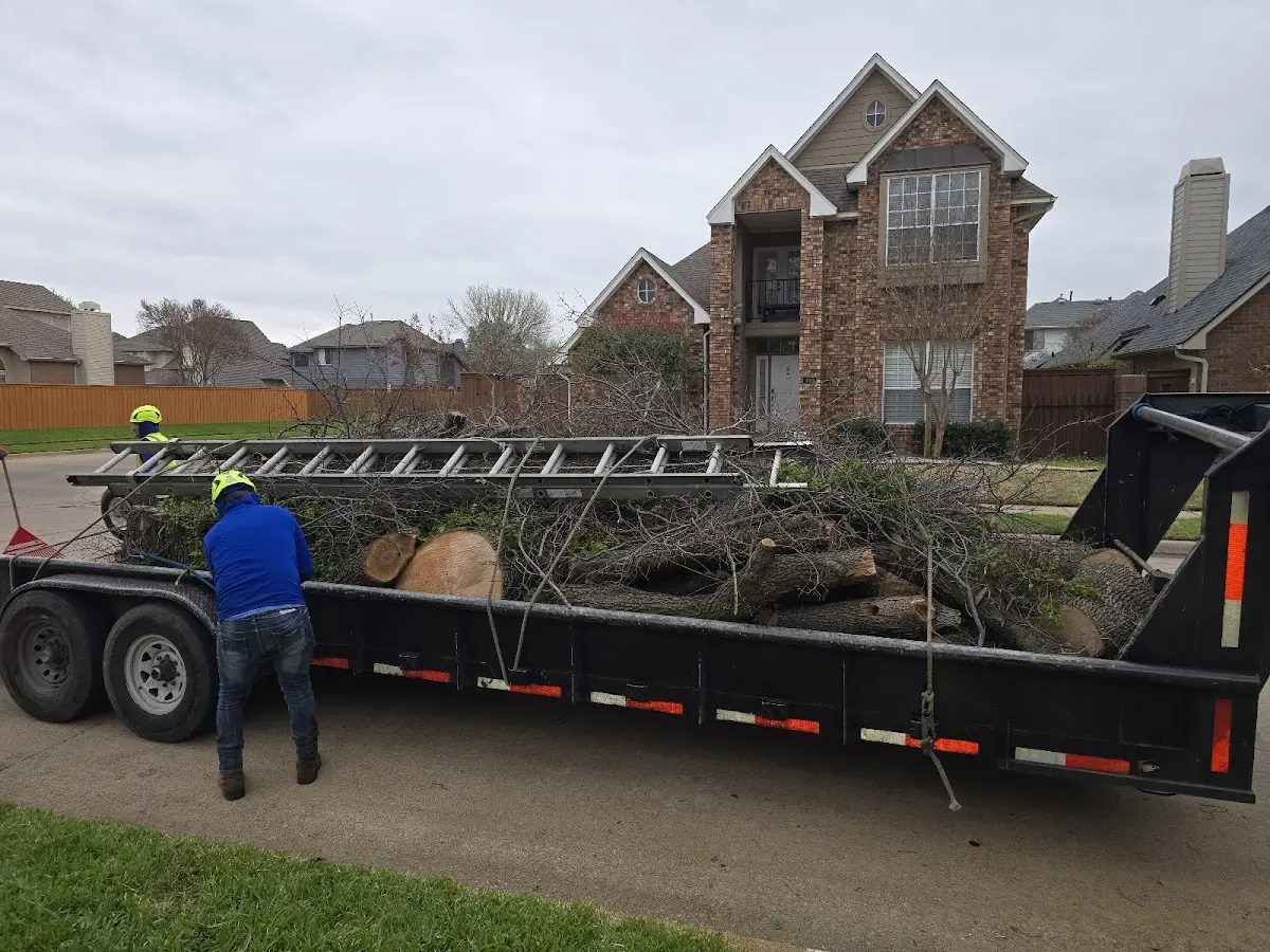 Expert Tree Removal with proper safety equipment in Rush Springs